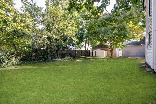 view of yard featuring a storage unit