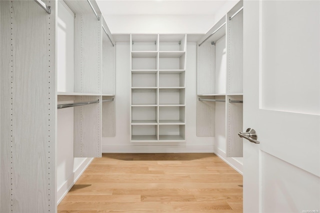 walk in closet featuring hardwood / wood-style floors