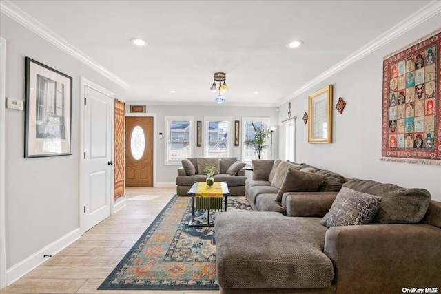 living room featuring crown molding and light hardwood / wood-style flooring