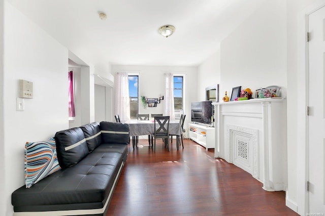 living room with a fireplace and dark hardwood / wood-style floors