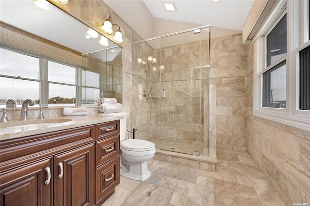 bathroom featuring vanity, toilet, and walk in shower