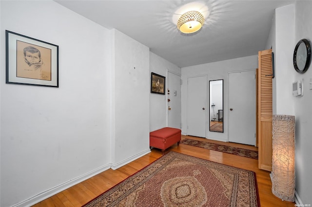 entryway featuring light wood-type flooring