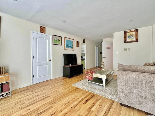 living room featuring light hardwood / wood-style floors