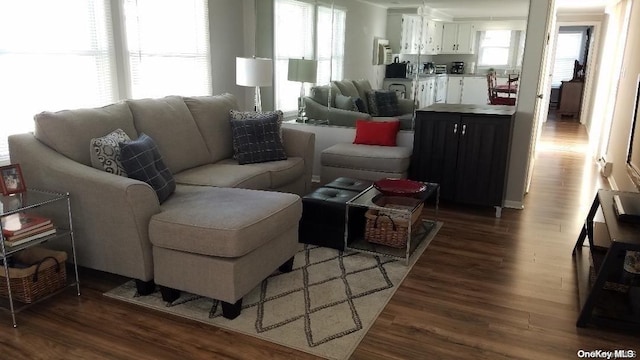 living room with dark hardwood / wood-style floors