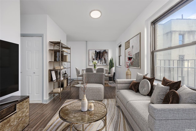 living room featuring dark wood-type flooring