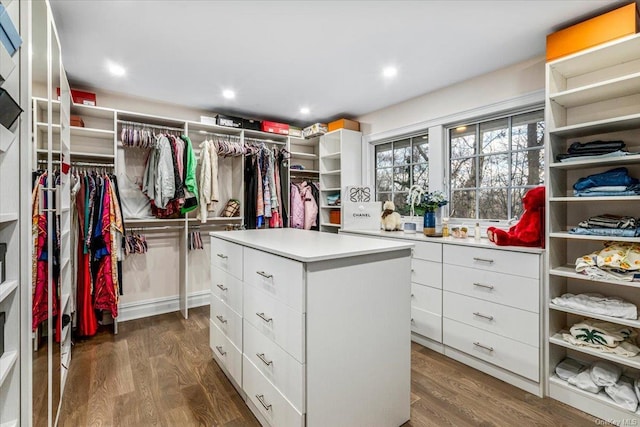 spacious closet with dark wood-type flooring