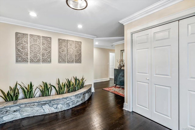 corridor with dark hardwood / wood-style flooring and ornamental molding