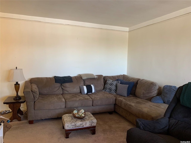 view of carpeted living room