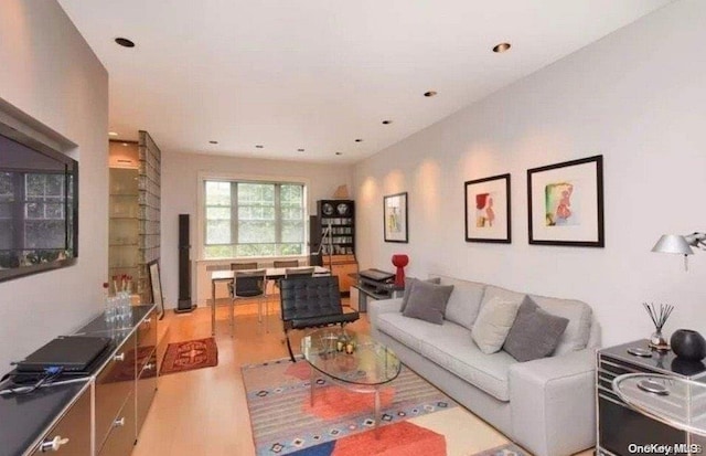 living room featuring light hardwood / wood-style floors