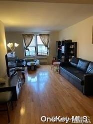 living room featuring hardwood / wood-style flooring