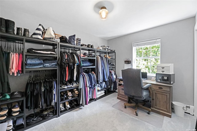 spacious closet with light colored carpet