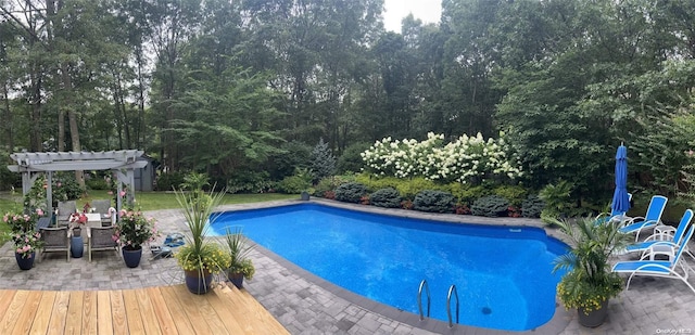 view of swimming pool with a patio area and a pergola