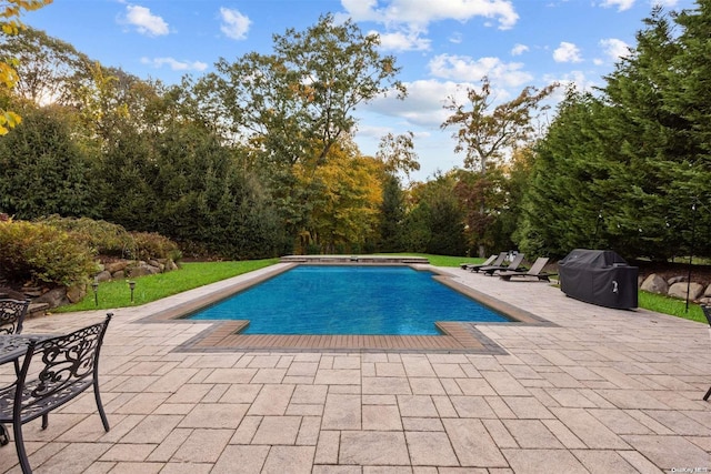 view of pool with a patio