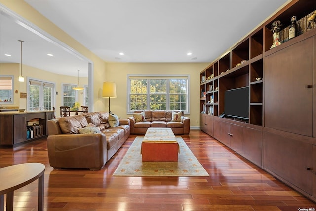 living room featuring dark wood-type flooring