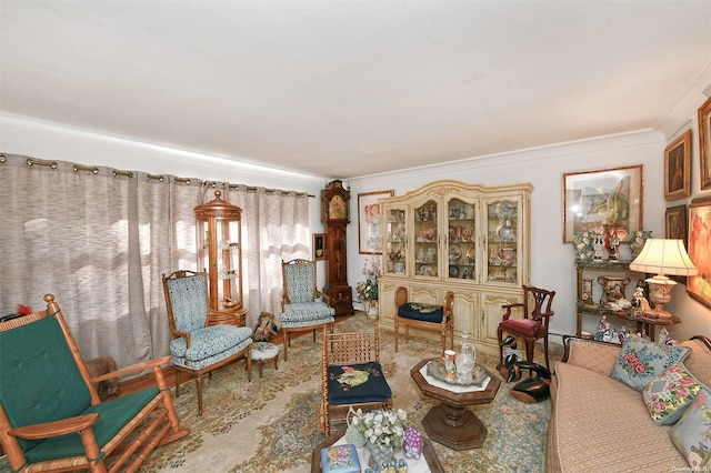 living area with ornamental molding