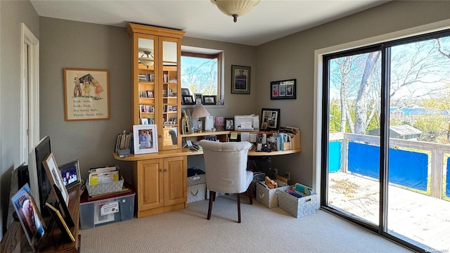 267 Great River Rd, Great River, NY 11739 - office featuring light colored carpet and plenty of natural light