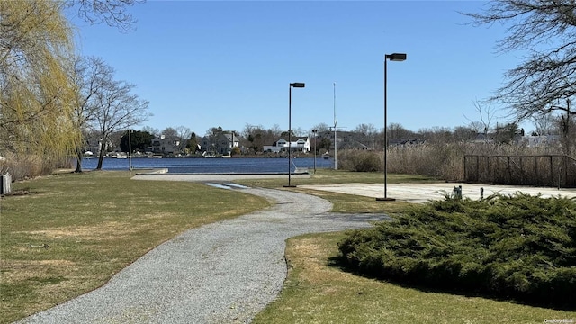 view of home's community with a lawn