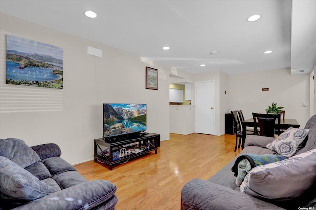 living room featuring wood-type flooring