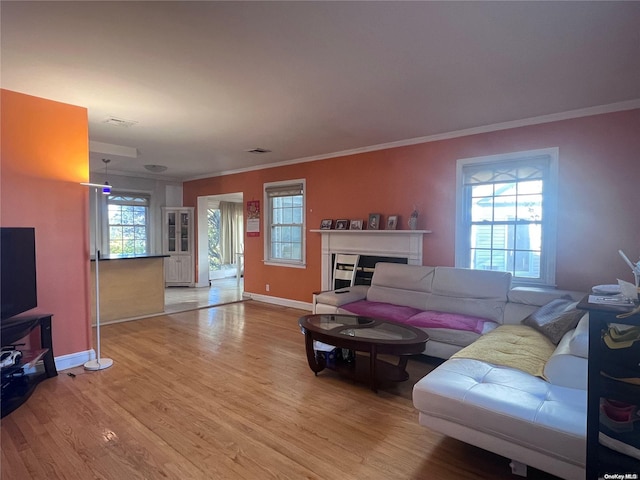 living room featuring hardwood / wood-style floors, plenty of natural light, and crown molding