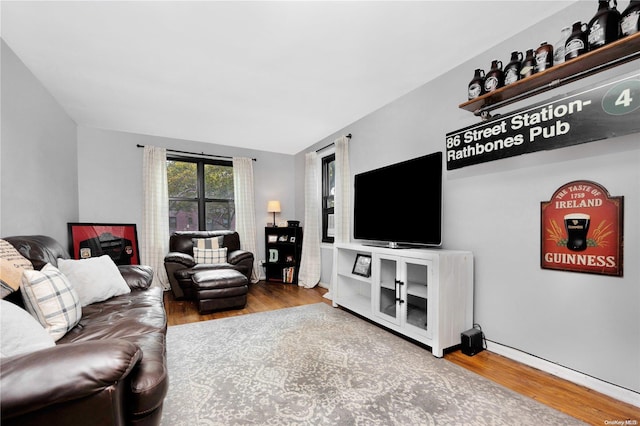 living room featuring wood-type flooring