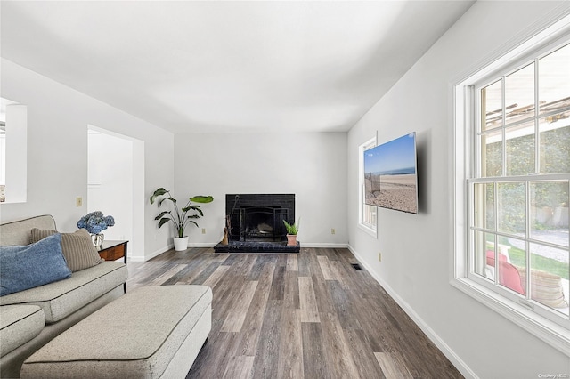 living room with hardwood / wood-style floors