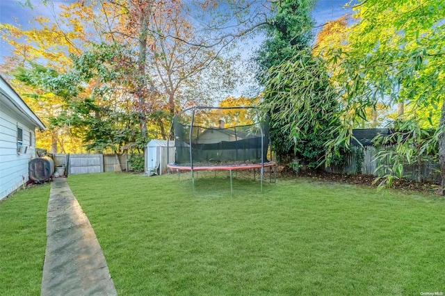 view of yard featuring a trampoline and a storage shed