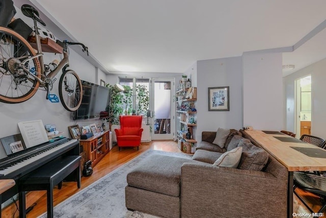 living room with wood-type flooring