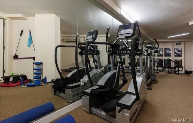 workout area with carpet floors
