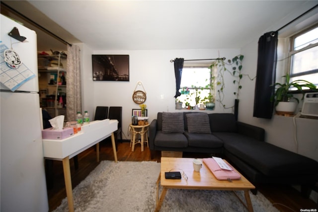 living room with hardwood / wood-style flooring