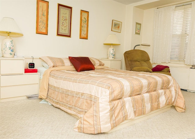 bedroom with carpet flooring