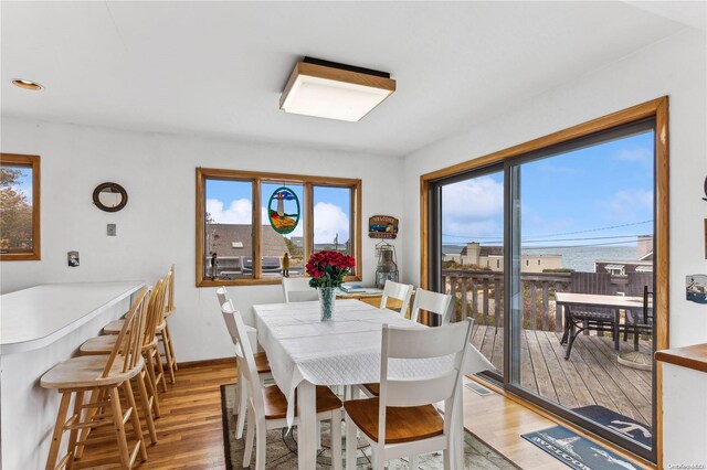 dining space with hardwood / wood-style flooring and plenty of natural light