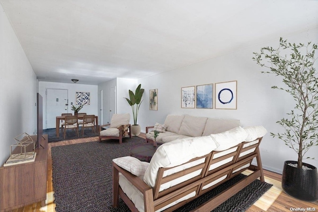 living room featuring light hardwood / wood-style floors