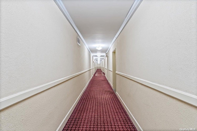 hallway featuring crown molding and carpet floors