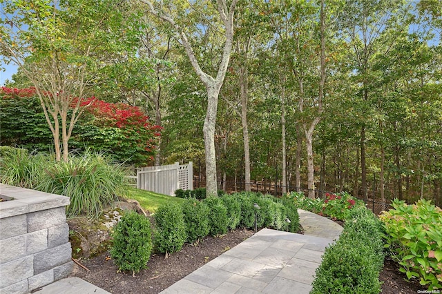 view of yard with a patio