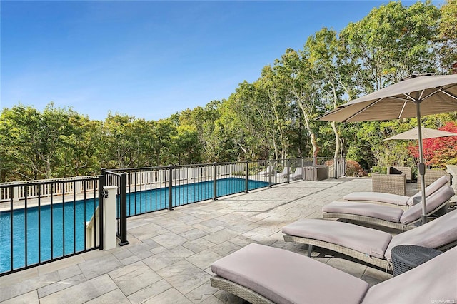 view of swimming pool with a patio area