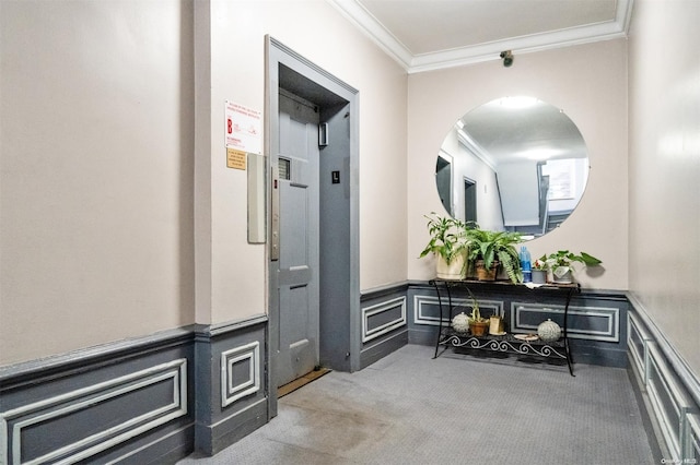 interior space with carpet floors and ornamental molding