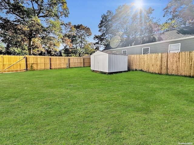 view of yard featuring a storage unit