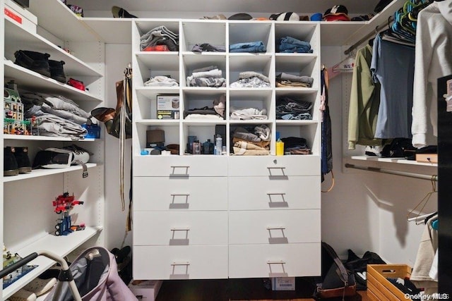 view of spacious closet