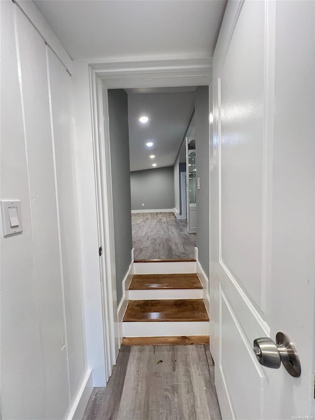 stairway featuring hardwood / wood-style floors