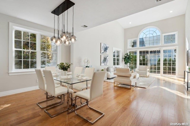 dining room featuring light wood-type flooring and a wealth of natural light