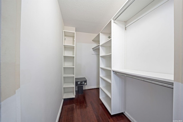 spacious closet featuring dark hardwood / wood-style floors