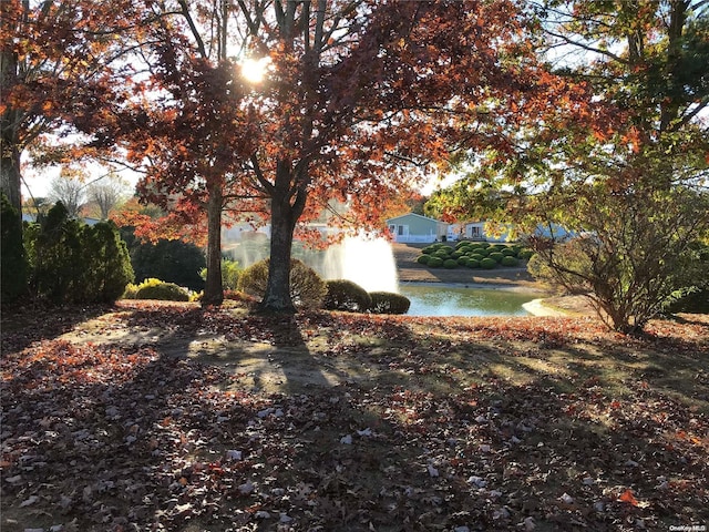 view of yard with a water view