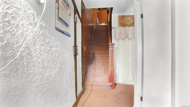 hallway with carpet and a textured ceiling