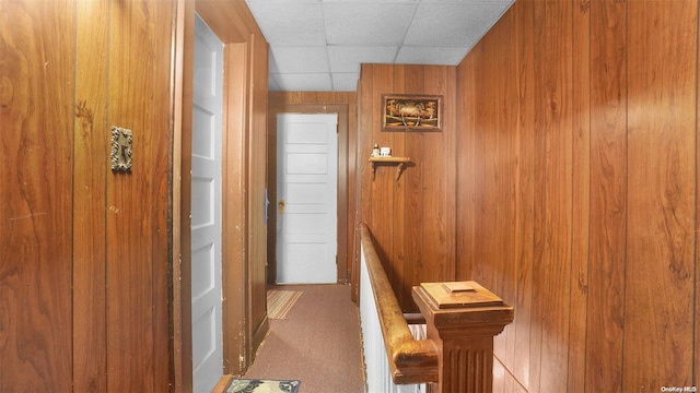 corridor featuring wood walls and carpet floors