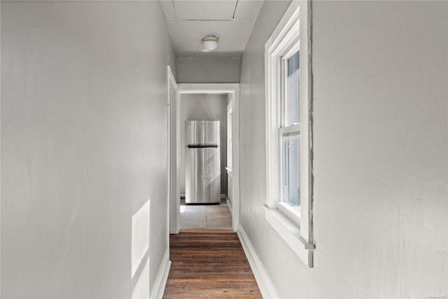 hallway featuring dark hardwood / wood-style flooring