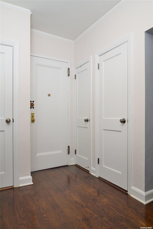 entryway featuring ornamental molding and dark wood-type flooring