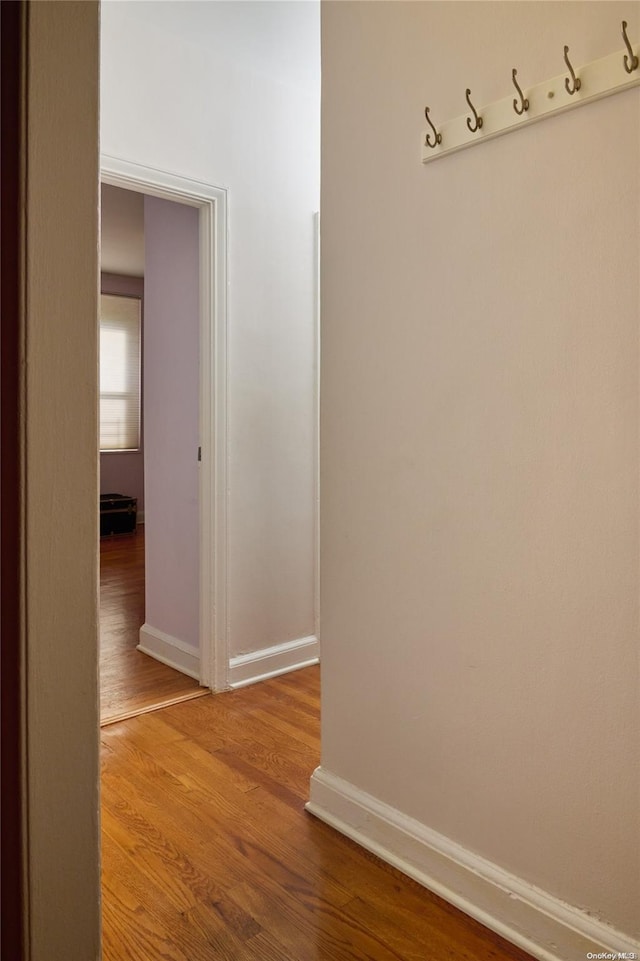 corridor with hardwood / wood-style flooring