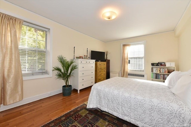 bedroom featuring multiple windows, radiator, and dark wood-type flooring