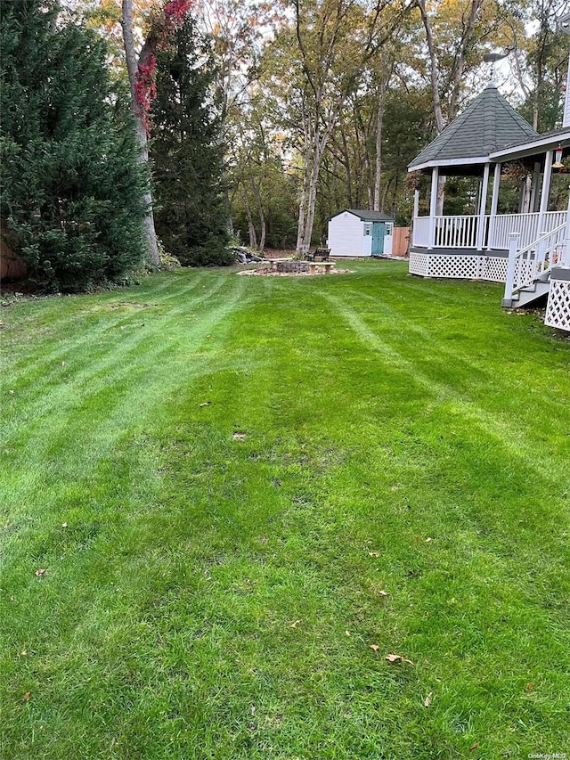 view of yard featuring covered porch and a storage unit