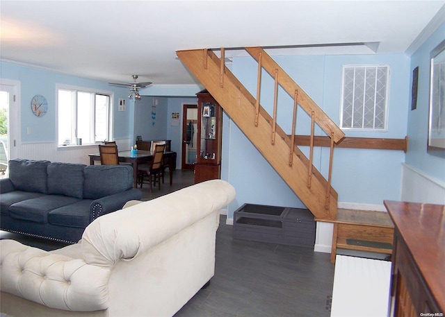 living room featuring dark hardwood / wood-style flooring, ceiling fan, and crown molding